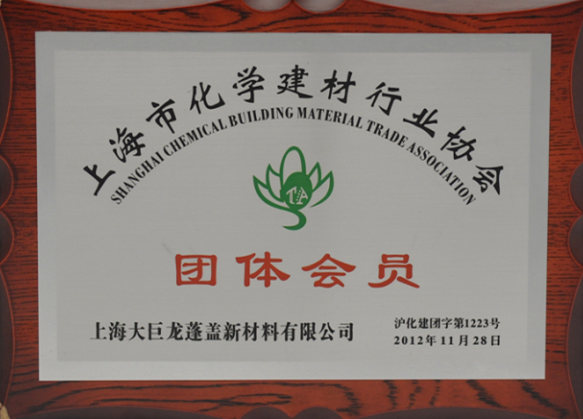 大巨龙pvc地板上海建材行业协会团体会员